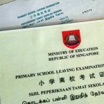 今年新加坡PSLE放榜,彻底火了这个网站