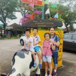 克兰芝农夫集市一季一次,一整片农家乐~