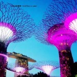 新加坡滨海湾花园:圣诞主题灯光秀抢先看!