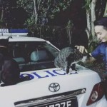 英勇施救的新加坡帅警长,已成功引起猫界关注