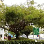“淡滨尼天地”首期开幕抢鲜体验:远超购物中心!