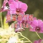 麻雀衔竹枝:一首在新加坡被禁了23年的歌