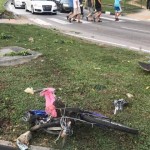 新加坡致命车祸,私人大巴横冲马路,现场视频超惊悚!