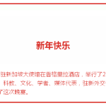 中国驻新加坡大使馆2017新春晚宴,现场有你认识的吗