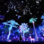 新加坡国家博物馆新常展-梦幻的森林故事(视频)