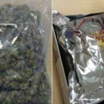 新加坡青年擦亮眼,这种“试吃”尝完毁一生!