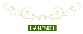 QQ图片20170411113913