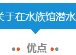 超多干货 | 在新加坡海洋馆还能和鲨鱼共舞!
