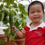 新加坡这家幼儿园,孩子能偷菜,真让我大开眼界