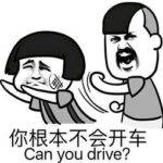 “重口味”鸭登陆新加坡!然而,他不甘心只做鸭……