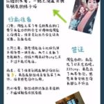 我在新加坡探店,6天逛+买超开心!