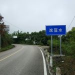 新加坡骑回中国,在云南捡只流浪猫