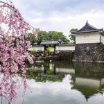 【樱花狩】去日本赏樱吧,即刻开启这趟旅行~