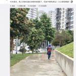 新加坡入“冬”了,这种病也可能抬头了