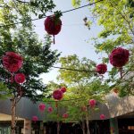 在新加坡,我们这样喜迎2018春节