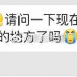 无处安放的文艺心?新加坡有没有一个地方可以买CD