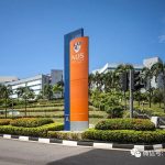 新加坡A水准今日放榜,速来围观大学录取分数线!
