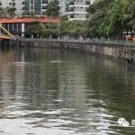 留学生不能在新加坡做兼职?合法打工学校名单收好!