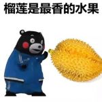 深扒新加坡榴梿的“四大内幕”!排队的你快看过来