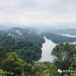 新加坡的低头族厌倦了市区的嘈杂?爬山走起!