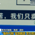 官宣!中国首次正式立法禁代购,海外党瑟瑟发抖中