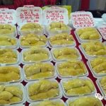 花50万研究为什么榴梿臭,新加坡绝对是死忠粉!