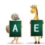 AEIS录取率100%—掬英教育再续佳绩!(新加坡中小学留学)