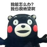 面对印尼黑心海关,刚正不阿的我被遣返了…