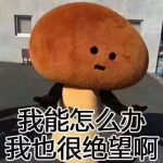 去巴淡岛被关小黑屋,印尼海关坑我100新币
