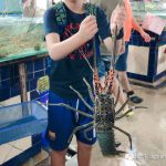 新加坡辣妈,带你玩转普吉岛