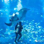 惊!新加坡圣淘沙名胜世界海底传来“灵异”怪声……