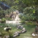 在新加坡,哪些留学生毕业后可以申请LTVP?