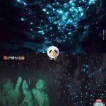 【新西兰】萤火美景美食,来次‘明星同款’10天9夜南北岛最美中土时间精华游!