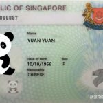 新加坡工作准证丢了怎么办?