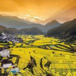 探秘新加坡的“小江西”,定制地道家乡味~