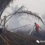 印尼林火蔓延全国,雅加达吉隆坡已经沦陷,新加坡瑟瑟发抖中