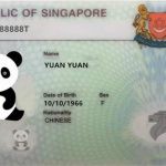 在新加坡更新长期探访准证,需要准备什么资料?