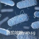 最近在新加坡,千万别吃这种鱼!