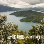 首批进入麦卢卡蜂蜜秘境的华人,究竟看到了什么?