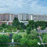 新加坡大批组屋新政策来袭!公民、PR都受影响