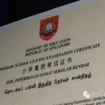 新加坡小六数学题太难,家长发千字长文向教育部长投诉