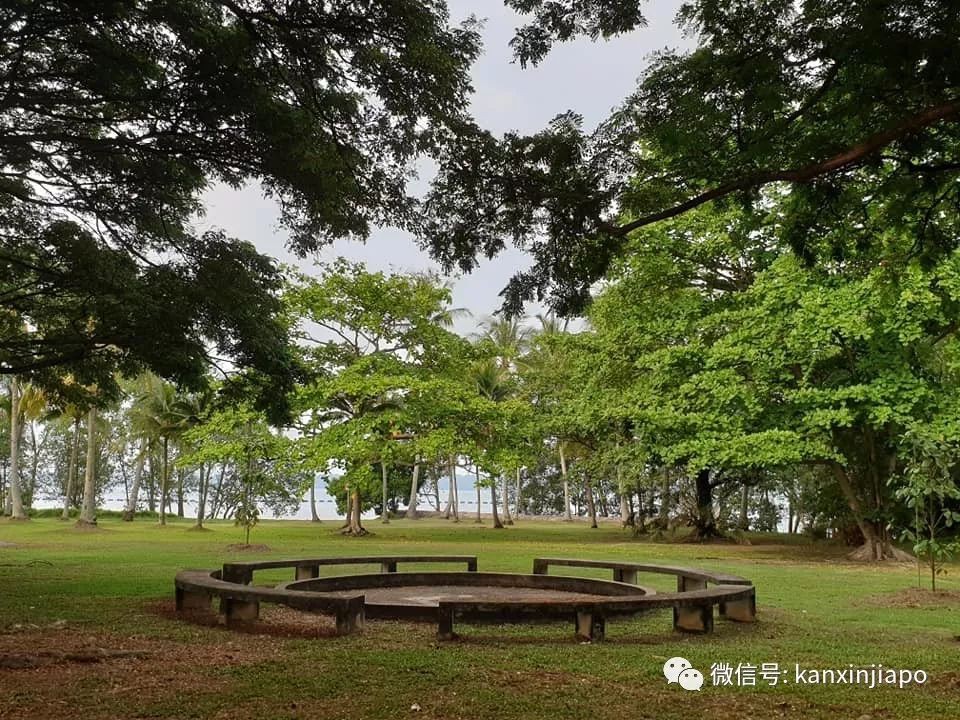 新加坡超小众的公园里，藏着密林与大海……