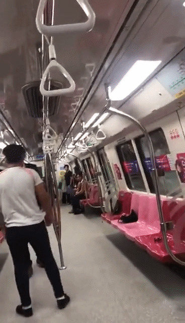你瞅啥？新加坡地鐵上兩男子互毆，場面異常激烈