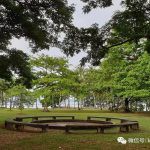 新加坡超小众的公园里,藏着密林与大海……