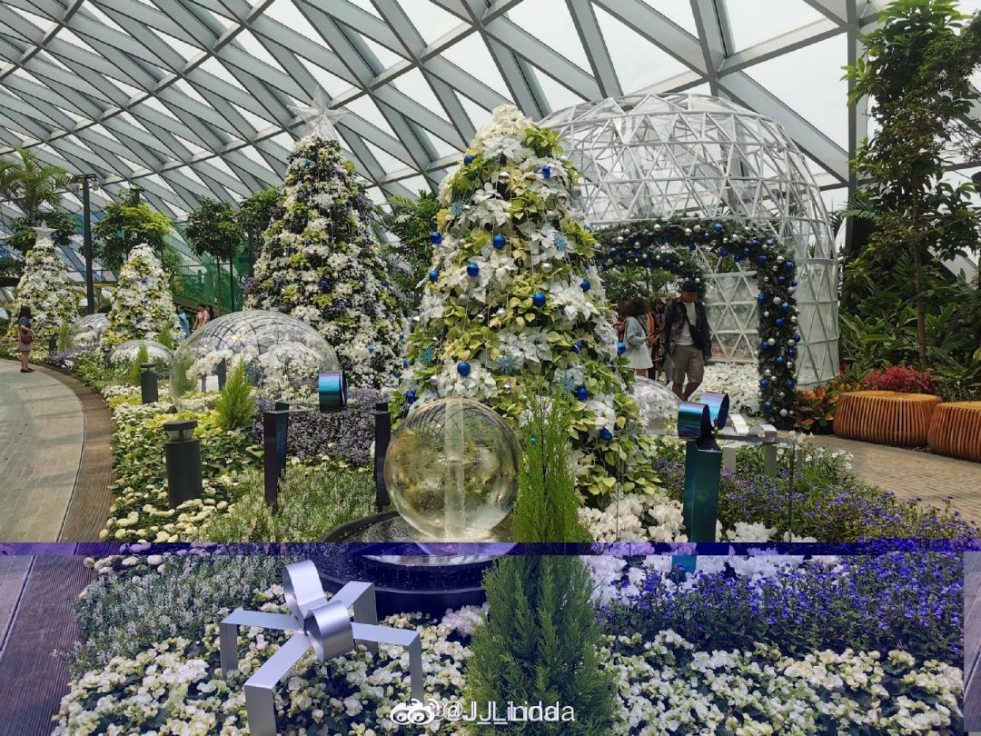 ins拍照留念特輯,新加坡哪裏的聖誕樹最夢幻?