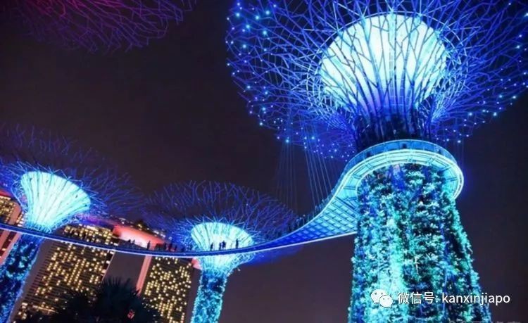 实拍！在新加坡这里过圣诞，置身阿凡达的梦幻世界！
