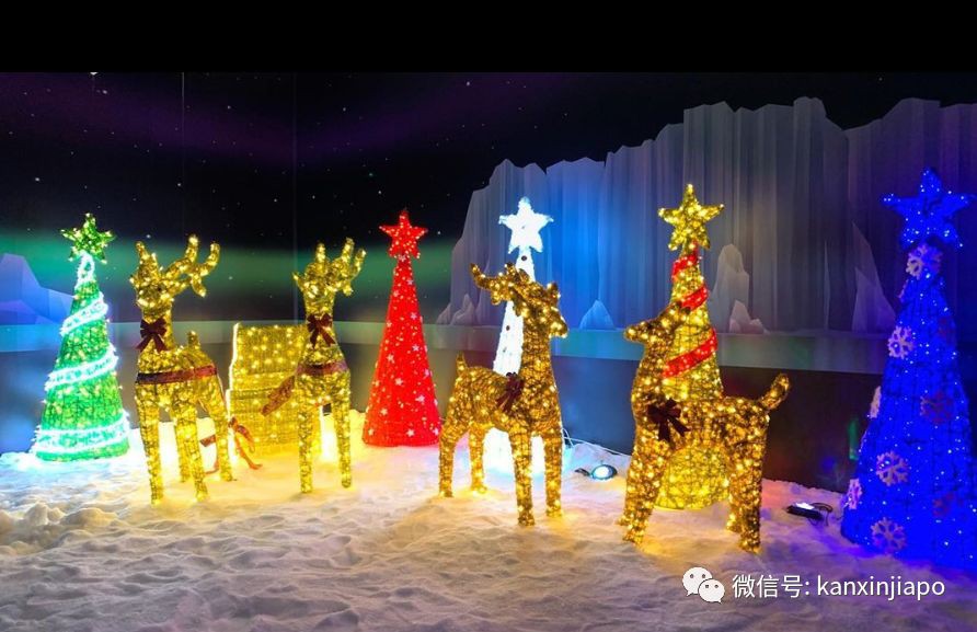 新加坡成功入冬!零下10度、需要穿棉襖那種!