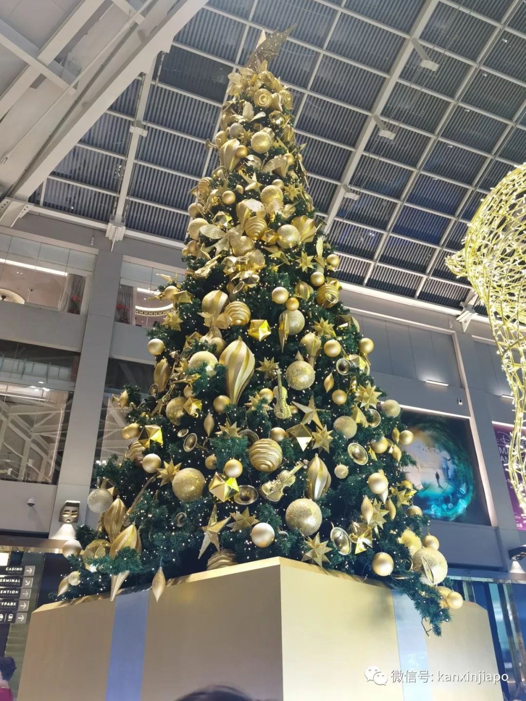ins拍照留念特輯,新加坡哪裏的聖誕樹最夢幻?
