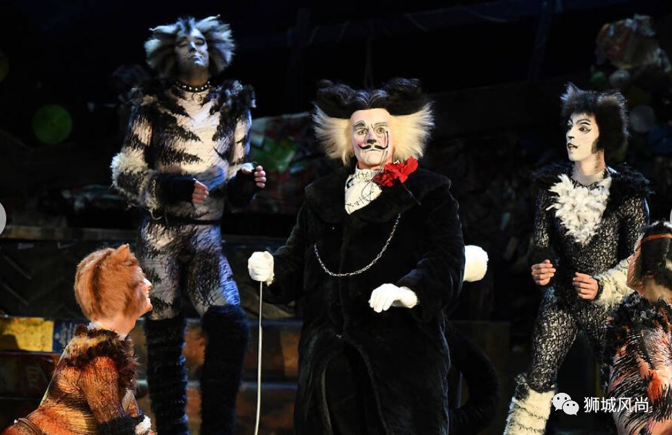Cats The Musical Is Now In Singapore