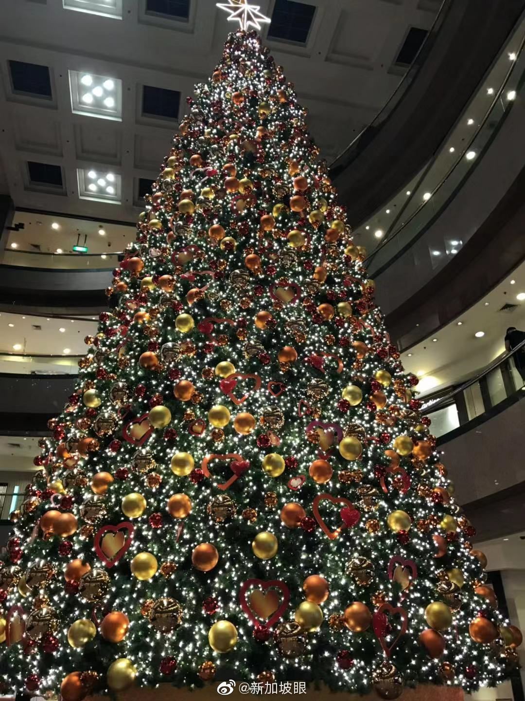 ins拍照留念特輯,新加坡哪裏的聖誕樹最夢幻?